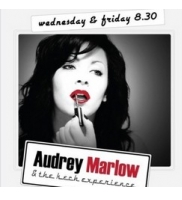 ONE NIGHT WITH AUDREY MARLOW 