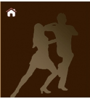 Festival international de salsa