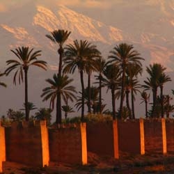 Regards croisés de deux artistes allemands sur Marrakech