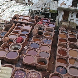 Un plan pour sauver les tanneries