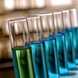 La semaine scientifique et culturelle de l'étudiant à Marrakech