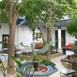 Les jardins d'hénia