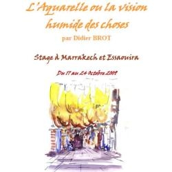 La vision humide de Marrakech et Essaouira...