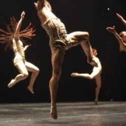 La danse contemporaine: Une fête à Marrakech