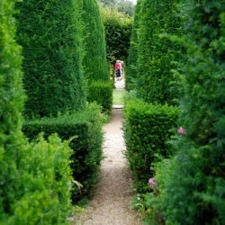 Festival de l'art du jardin de Marrakech: Une clôture en beauté