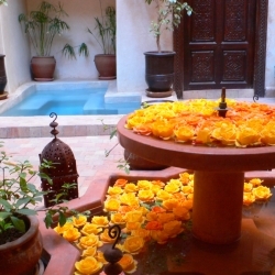 Riad Bakara
