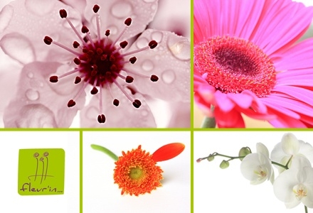 FLEUR'IN