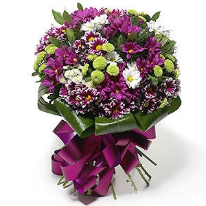 Star Fleur