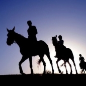 LES ECURIES DE MARRAKECH