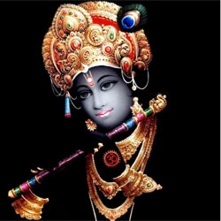 Massala Spirit