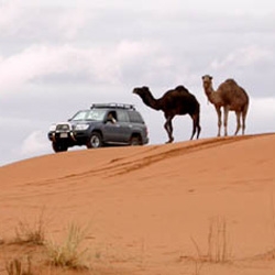 Kachtala Excursions