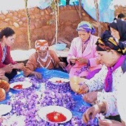 La Safranière de l'Ourika