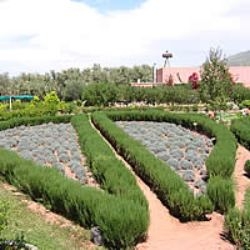 Le jardin bio aromatique de l'Ourika